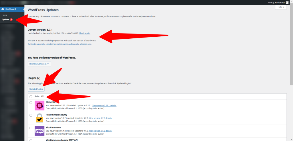 Update WordPress, Plugins, Themes - Update Core , Update Plugins