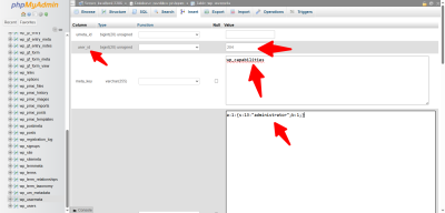 Create a WordPress Admin User via phpMyAdmin: Step-by-Step